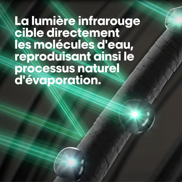 Sèche-cheveux ionique Pro