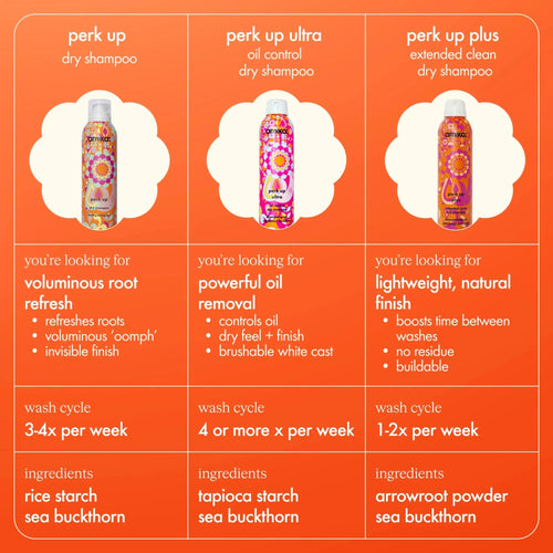 Amika Perk Up – Shampooing Sec Format Économique 339 ml