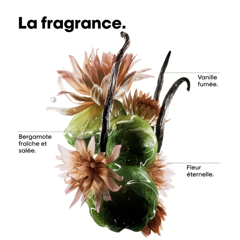 Absolut Repair Molecular