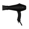 Sèche-cheveux professionnel